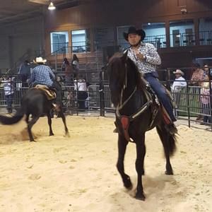 Meet your Posher, Roger